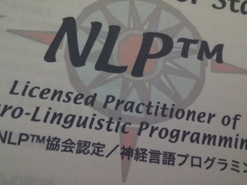 NLP Practitioner Manual