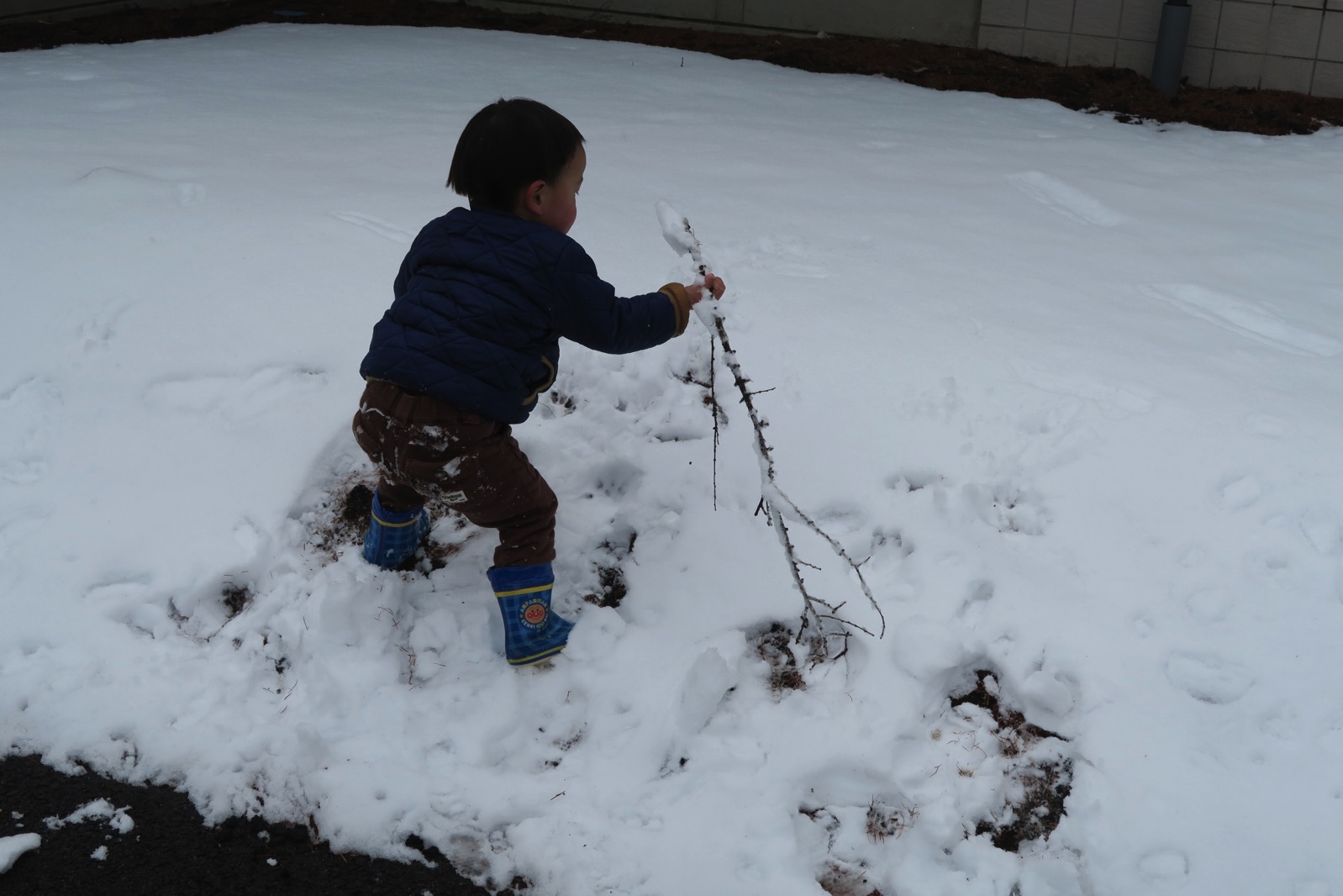 雪の中に木の枝を突っ込んで遊ぶ息子
