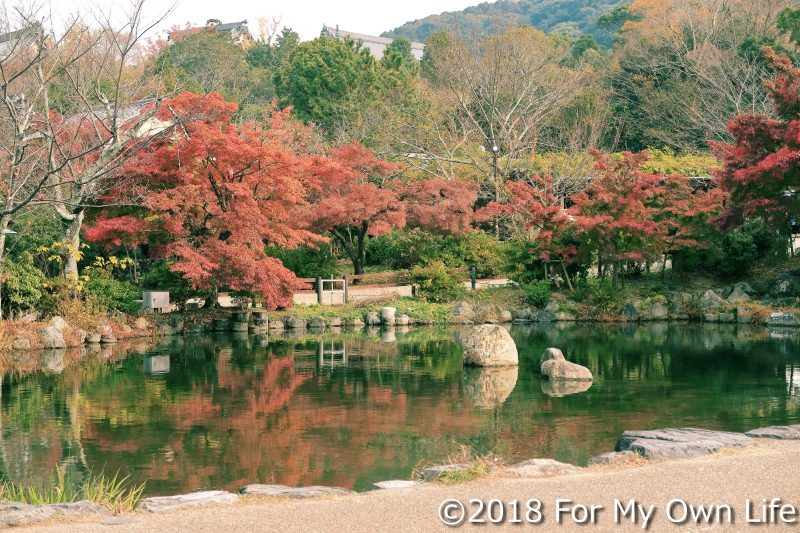 円山公園 池