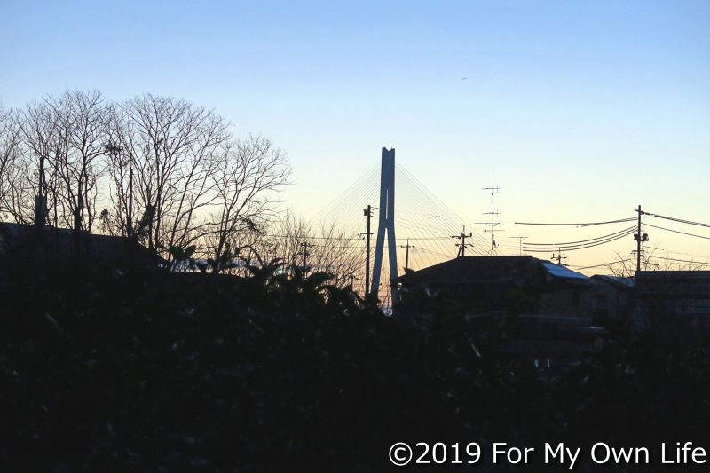 早朝の景色。遠くに多々羅大橋が見える