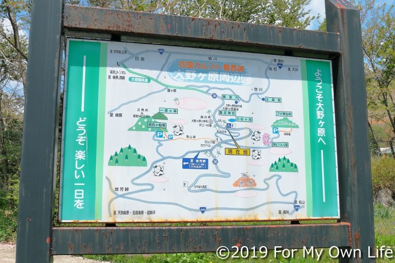 大野ヶ原周辺地図